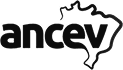 Ancev